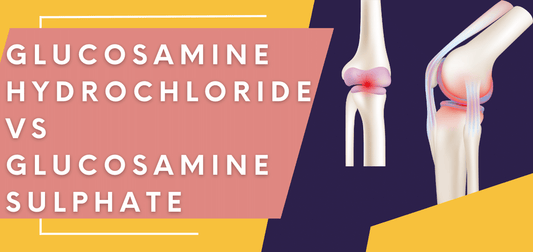 Glucosamine Hydrochloride vs Glucosamine Sulphate
