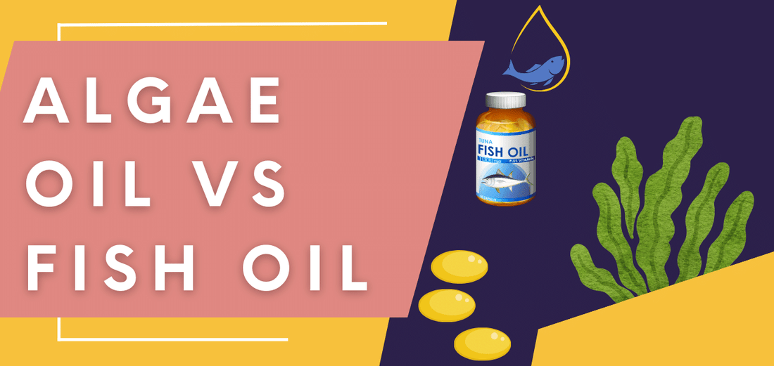 Algae Oil vs Fish Oil