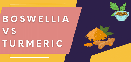 Boswellia vs Turmeric