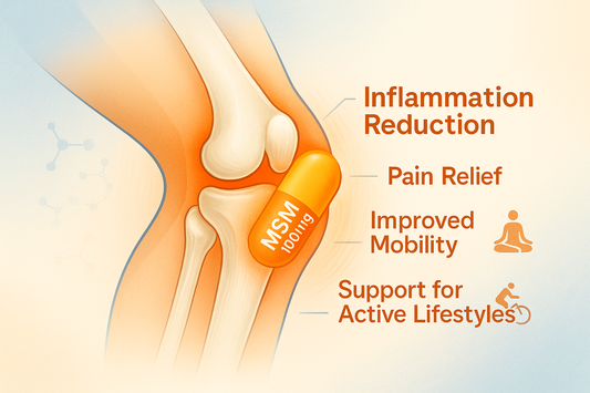 Inside Physio Flex Pro: How MSM Works With Our Premium Joint Formula"